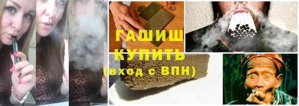 гашик Алексин