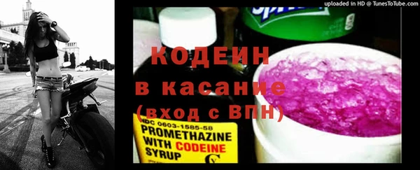 гашик Алексин