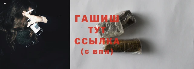 гашик Алексин