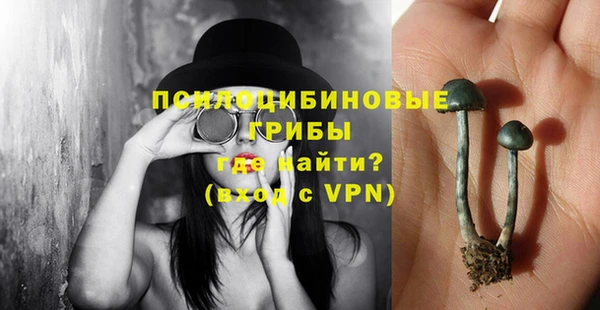 a pvp Алзамай