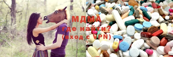 гашик Алексин