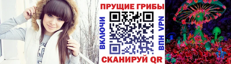 Галлюциногенные грибы Psilocybine cubensis  цены наркотик  Калининск 